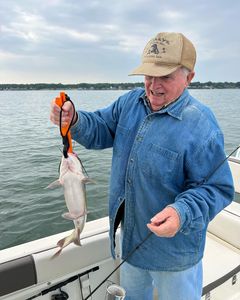 Had Fun Reeling In This Fish 