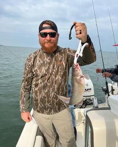 Lake Erie Fish Challenge