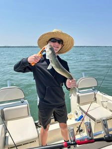 One angler fishing in Vermilion