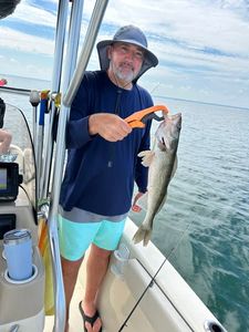 A person fishing in Vermilion