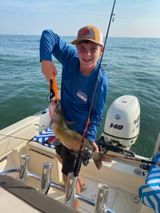 Image of a blue catfish caught while fishing in OH