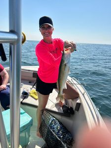 A person fishing in Vermilion