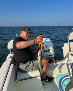 A lone angler fishing in Vermilion
