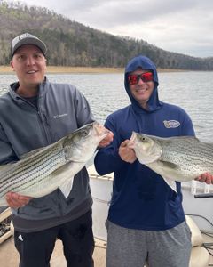 Beefy Striper duo!