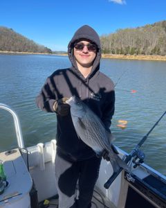 Clean hybrid catch!