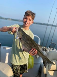 Striped bass pursuit at Cherokee Lake! 