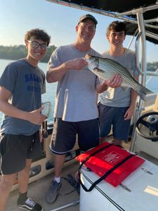 Bass for days on Cherokee Lake!
