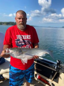 Cherokee Lake's striped bass haven! 
