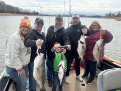 3 Wiper, Striped Bass, and Striped Bass fish caught in Rutledge