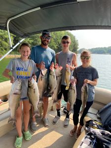 6 striped bass and wiper fish caught in TN