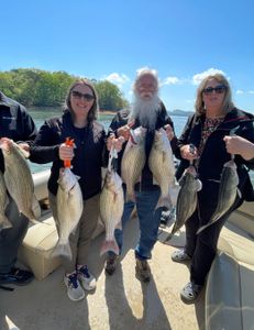 7 wiper (hybrid striped bass) fish caught in TN