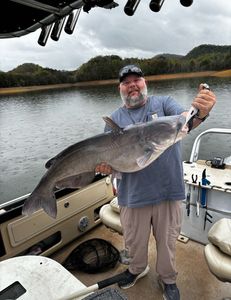 Caught a blue catfish in TN
