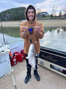 Blue Catfish caught while fishing in Tennessee