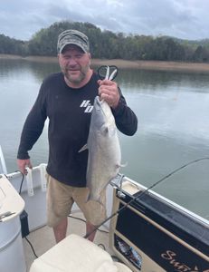 A blue catfish measuring 17 inches, caught while fishing in TN.