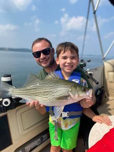 Wiper (hybrid striped bass) fish caught in TN