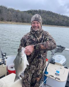 Wiper (Hybrid striped bass) caught while fishing in Tennessee