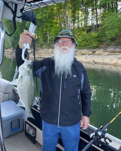 Wiper (Hybrid striped bass) fish caught in TN