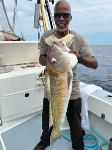 Best great fishing in DE