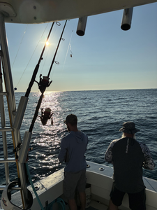 Perfect conditions for deep sea fishing off Lewes with multiple techniques ready to go.