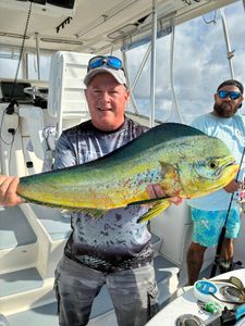 Photograph of two people catching a mahi mahi fish in DE