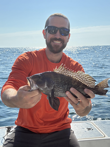Nice sea bass using deep sea jigging in clear conditions!