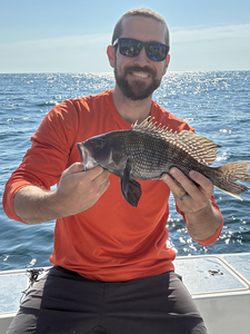 Nice sea bass on the boat today! Clear conditions made for exciting fishing off Lewes.