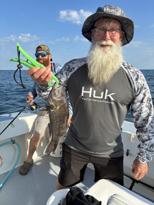 Nice sea bass caught using deep sea jigging techniques in clear conditions off Lewes!