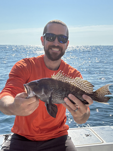 Nice sea bass on a perfect day for fishing!