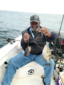 Black Drum Fishing in South Carolina