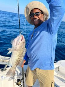 Groupers fish from South Carolina coast 