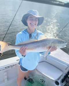 Large Sheepshead  Fishing in Charleston, SC