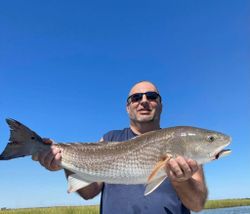 Redfish caught from Mt Pleasant, SC