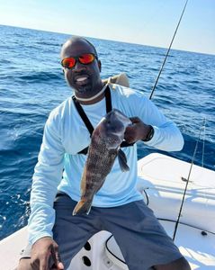 Black Sea Bass reeled from Mt Pleasant