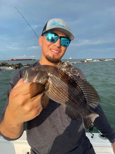 Black Sea Bass Fishing Charter in Charleston, SC