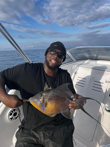 An angler with a small fish caught in South Carolina