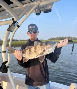 A person fishing for a black drum fish in Mount Pleasant