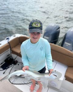 Bonnethead shark caught fishing in SC