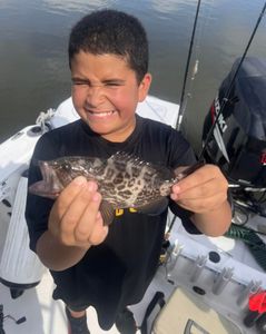 Photograph of a single gag grouper fish caught while fishing in Mount Pleasant