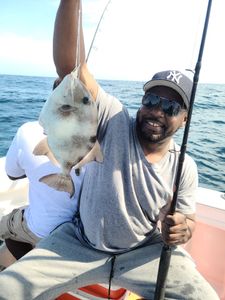 Grey Triggerfish fishing in Mount Pleasant