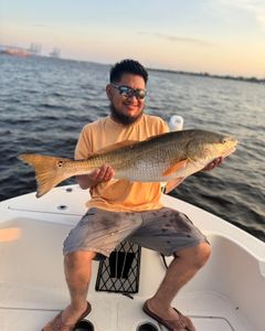 Redfish caught in SC