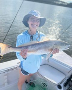 Redfish measuring 25 inches caught in Mount Pleasant