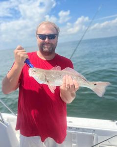 Photograph of a redfish catch by an angler in Mount Pleasant