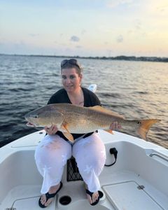 Redfish caught while fishing in Mount Pleasant