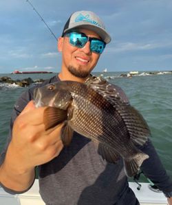 Fishing for a sea bass in SC