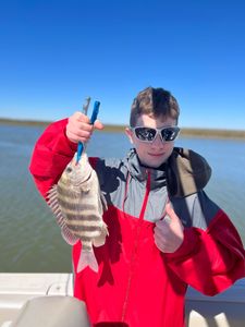 Sheepshead fish caught by angler in Mount Pleasant