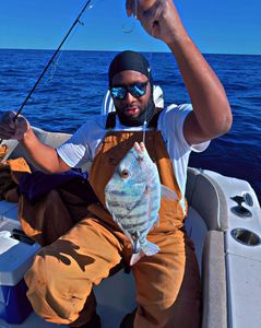 Sheepshead fish caught in SC while fishing