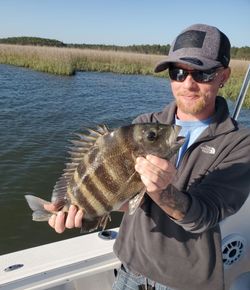 Sheepshead fish caught while fishing in Mount Pleasant