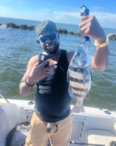 Sheepshead fish caught in SC