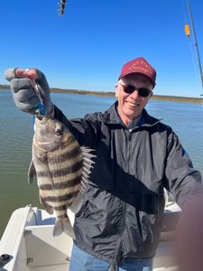 Sheepshead fish caught by angler in Mount Pleasant