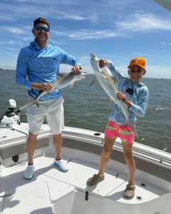 Whitetip reef shark spotted while fishing in Mount Pleasant